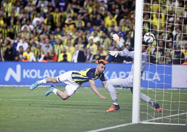 方面的優勢 方面的優勢