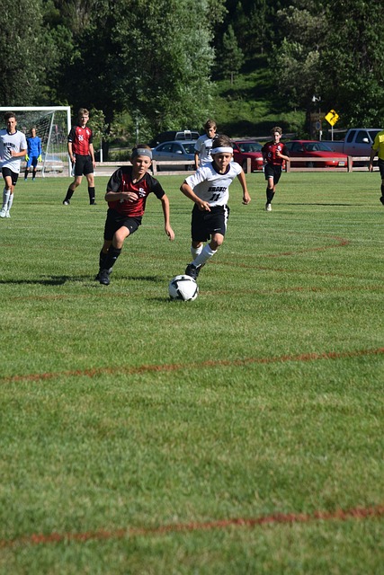 逐年升高 逐年升高