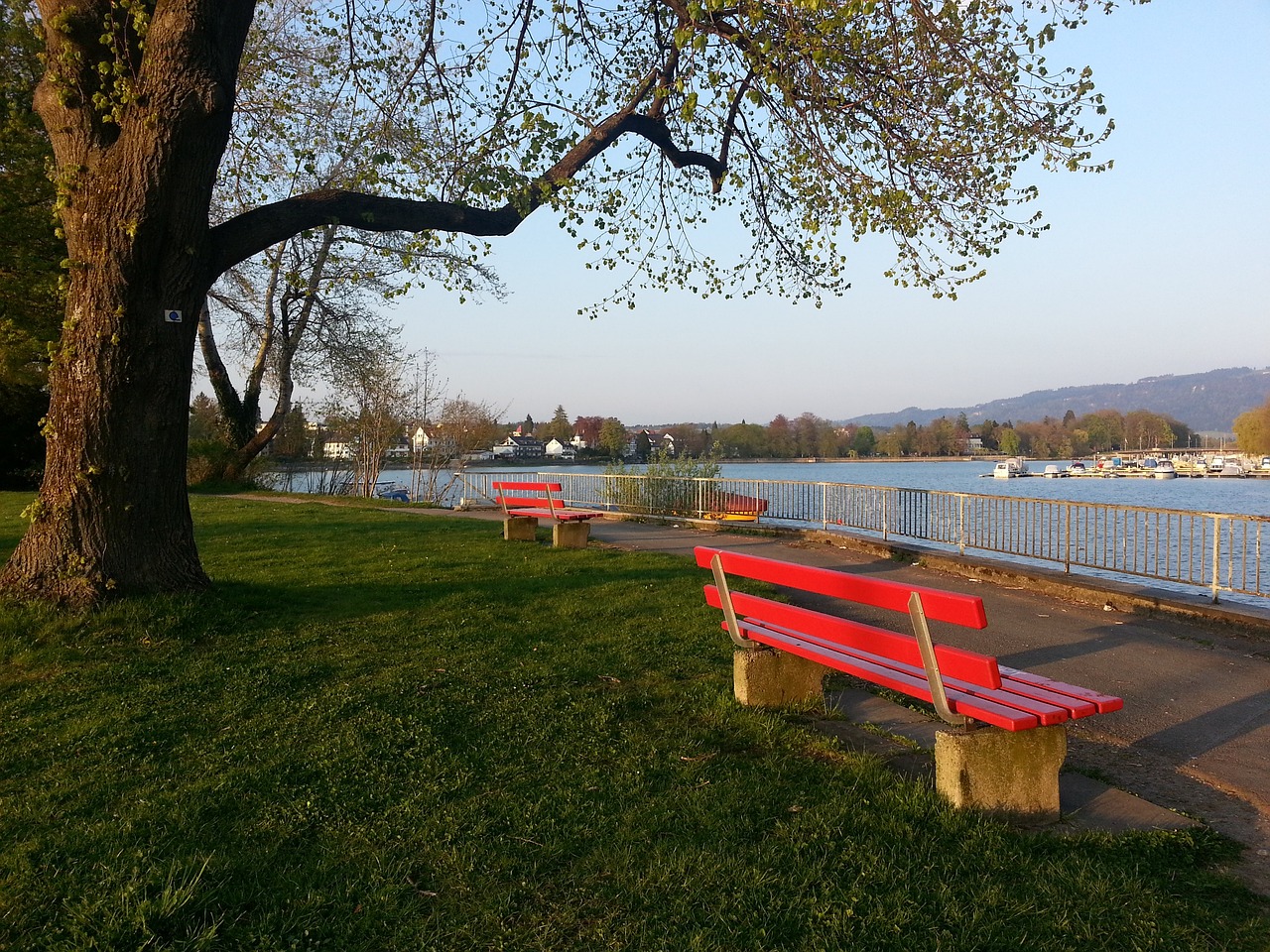 是其受追捧 是其受追捧